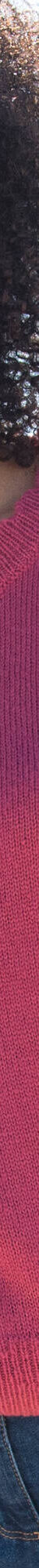 Pull col rond finitions écailles (bois de rose) Pull col rond finitions écailles (bois de rose)